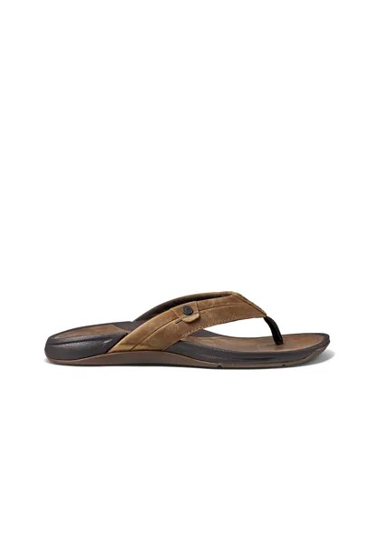 Вьетнамки PACIFIC LE Reef, цвет brown