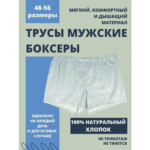 Трусы СВОБОДА, размер 52, голубой, зеленый, синий