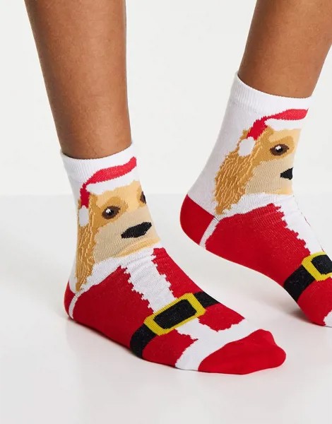 Разноцветные новогодние носки до щиколотки с принтом собаки в костюме Санты-Клауса ASOS DESIGN-Разноцветный