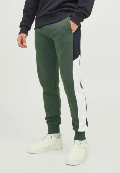 Спортивные брюки JPSTWILL JJREID PANT Jack & Jones, вид на горы