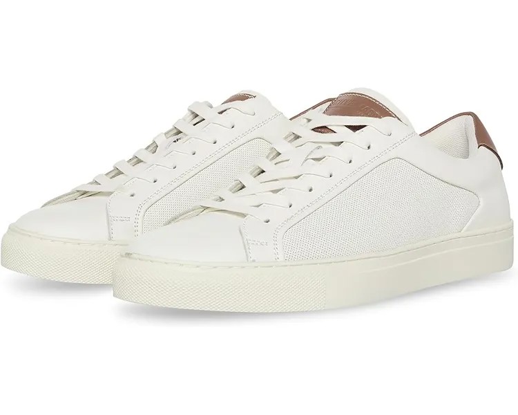 Кроссовки Steve Madden Finneas, цвет White/Cognac Leather