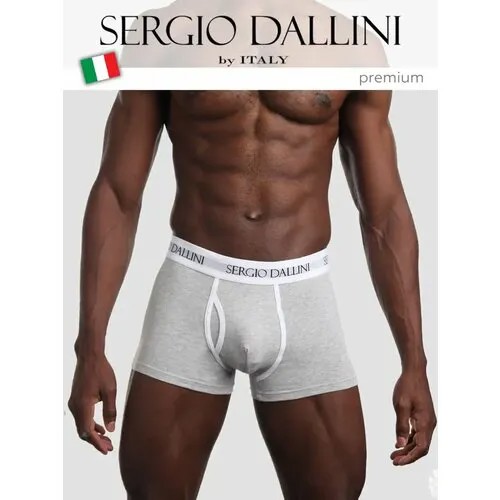Трусы Sergio Dallini, размер XL, серый