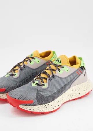 Серые кроссовки Nike Running Pegasus Trail 2 Gortex-Серый