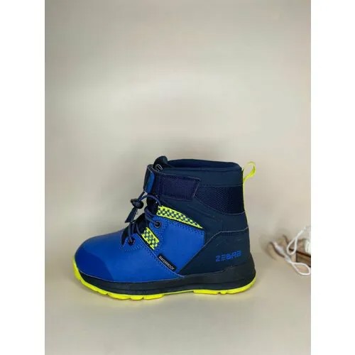 Ботинки Зебра, зимние, на липучках, размер 31, синий