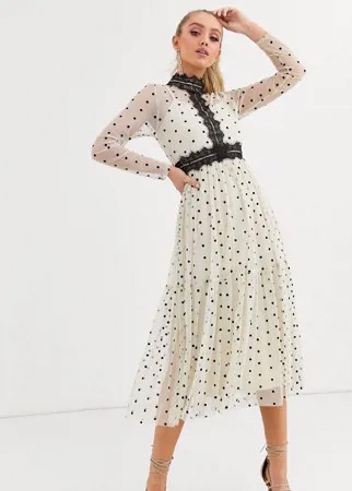 Кремовое платье миди в черный горошек с длинными рукавами и кружевом Lace & Beads-Многоцветный