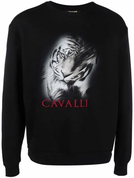 Roberto Cavalli толстовка с принтом