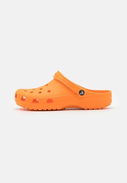 Сабо Crocs