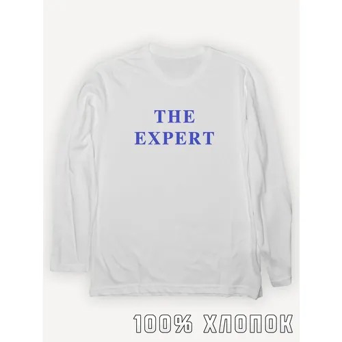 Лонгслив PRINTHAN Лонгслив с принтом The expert унисекс, белый, размер L (48-50), белый