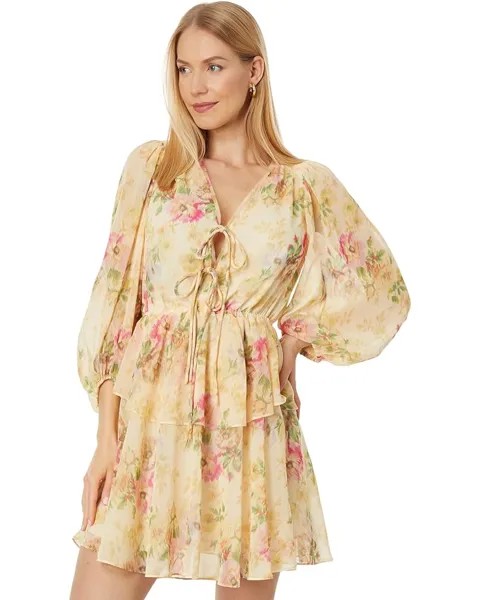 Платье Ted Baker Tamziiy V-Neck GGT Printed Tie Front Mini, цвет Tan