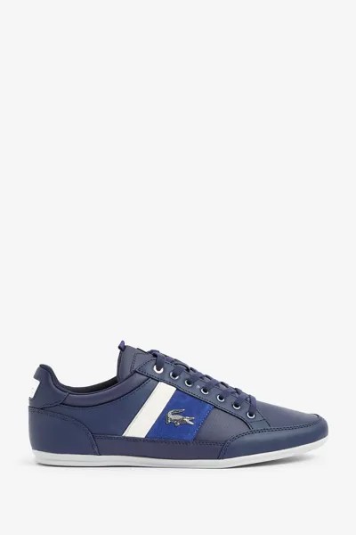 Темно-синие спортивные туфли Chaymon Lacoste, синий
