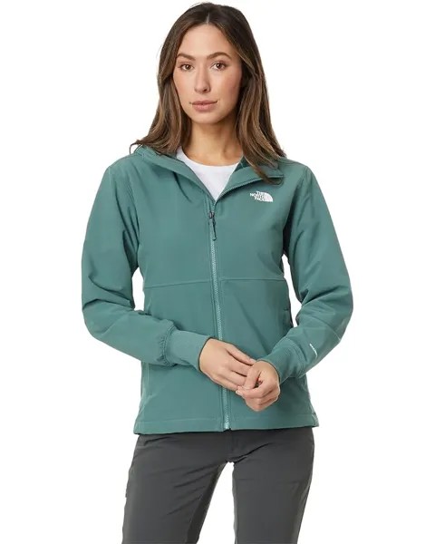 Худи The North Face Shelbe Raschel, цвет Dark Sage