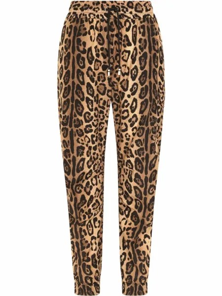 Dolce & Gabbana спортивные брюки с леопардовым принтом, коричневый