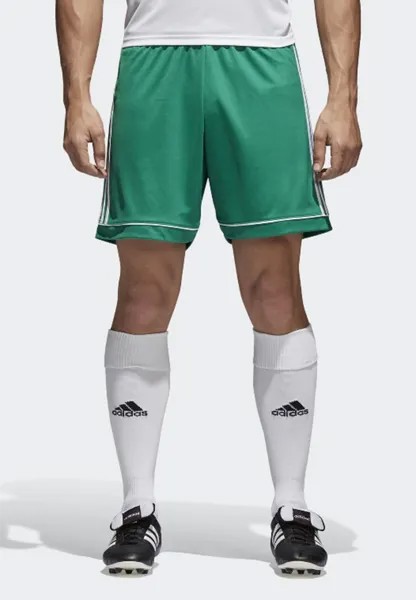 Спортивные шорты SQUADRA CLIMALITE FOOTBALL 1/4 SHORTS adidas Performance, цвет green