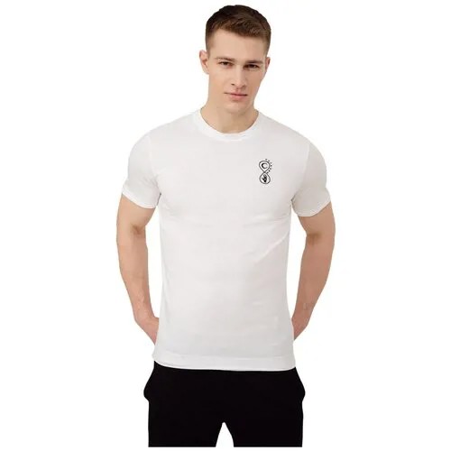 Футболка Outhorn MEN'S T-SHIRT Мужчины HOL22-TSM614-10S L