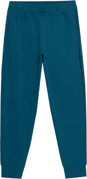 Спортивные брюки мужские Outhorn HOL22-SPMD600 синие L