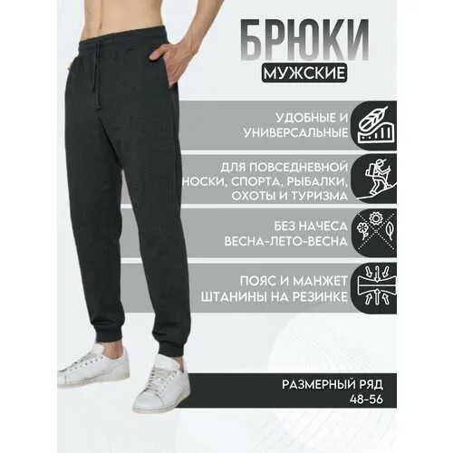 Брюки AL-XAKIM, размер (48)M, серый
