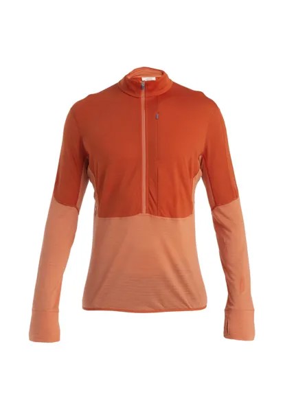 Толстовка NATURAL MID WEIGHT REALFLEECE DESCENDER HALF ZIP Icebreaker, разноцветный