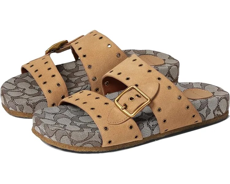 Сандалии COACH Ally Suede Sandal, цвет Peanut/Oak