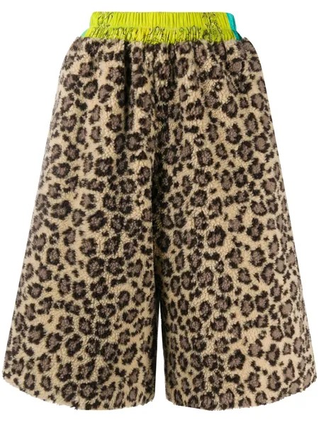 Natasha Zinko флисовые шорты с леопардовым принтом