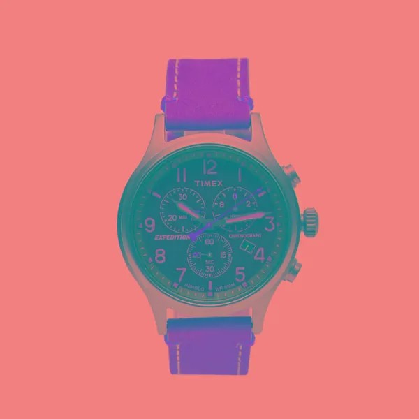 Наручные часы Timex