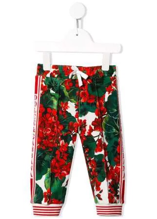 Dolce & Gabbana Kids спортивные брюки с цветочным принтом