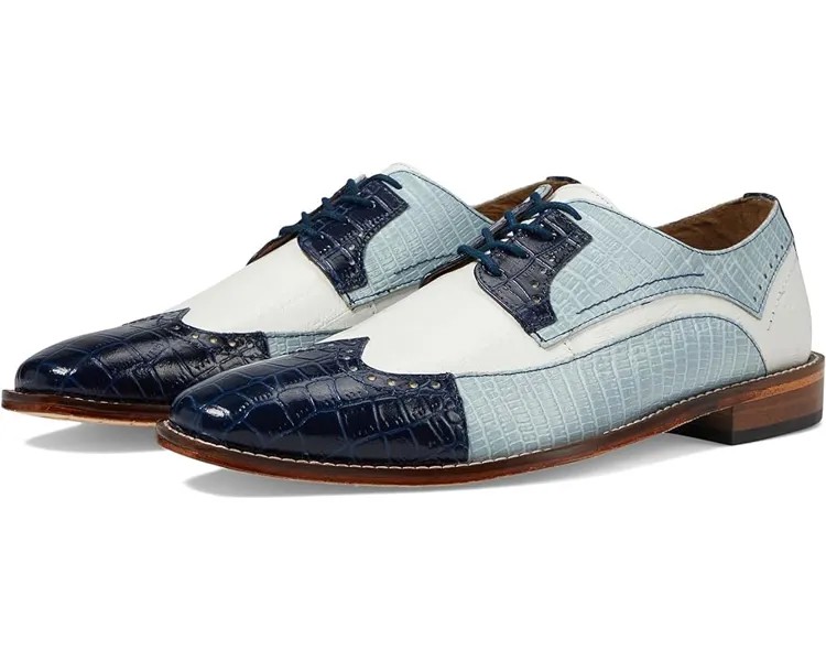 Оксфорды Stacy Adams Gallinari Wingtip Lace Up, синий