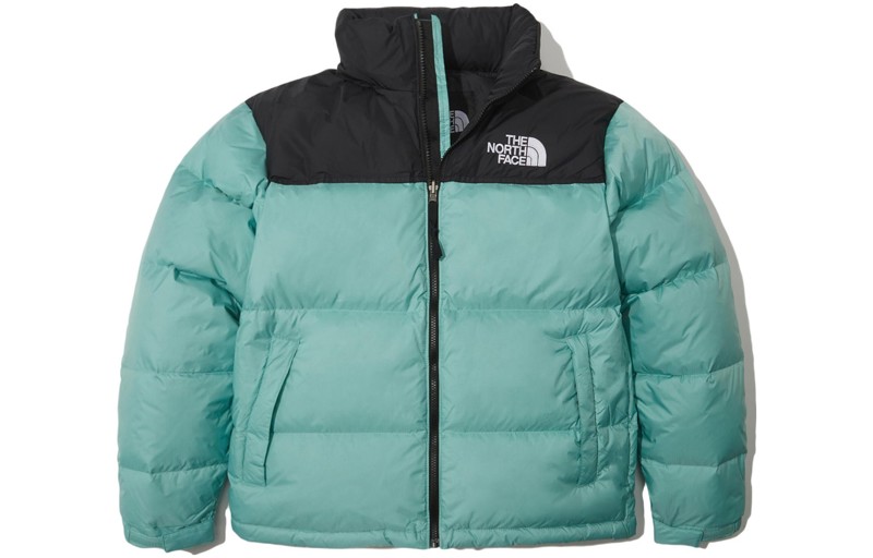 Коллекция 1996 года, пуховик мужской, мятный The North Face, цвет Mint