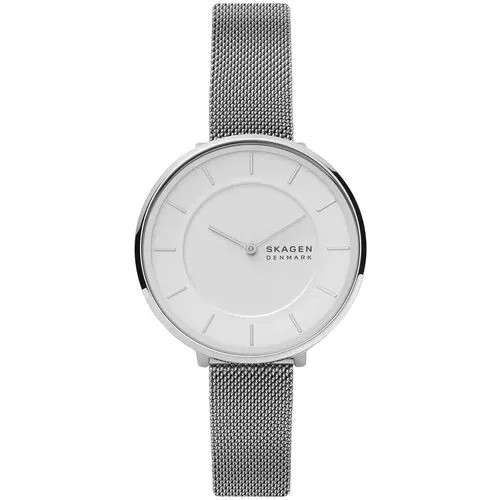 Наручные часы Skagen SKW3016