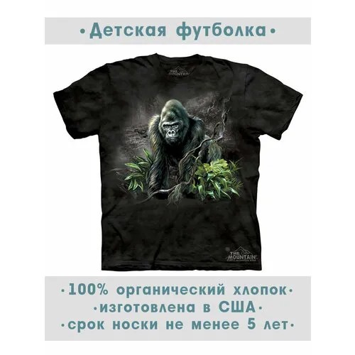 Футболка The Mountain, размер M-Y, черный
