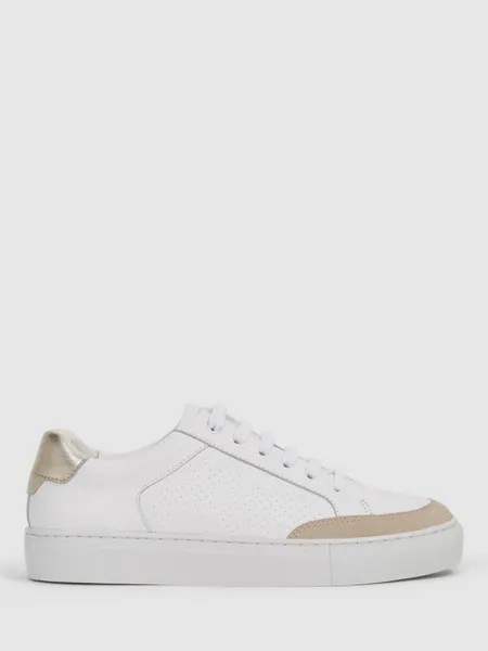 Низкие кеды Reiss Ashley из кожи и замши, белый/золотой
