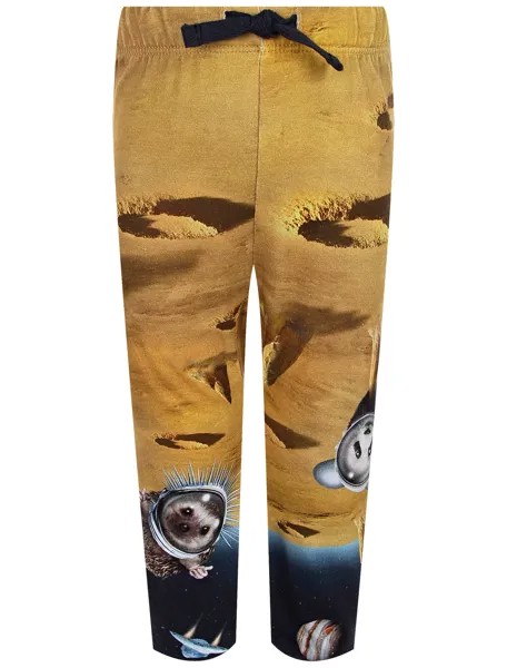 Брюки спортивные MOLO
