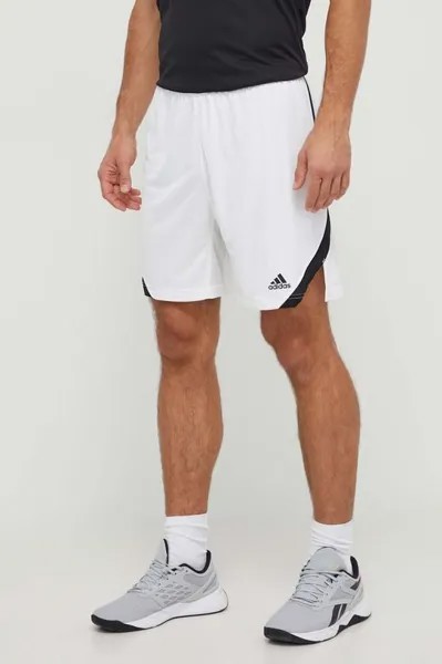 Спортивные шорты Icon Squad adidas Performance, белый