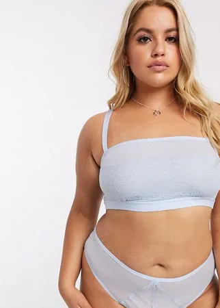 Бразильские трусы из сетки и кружева ASOS DESIGN Curve-Голубой