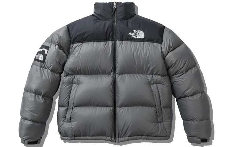 Коллекция 1996 года, пуховик мужской серый The North Face, серый