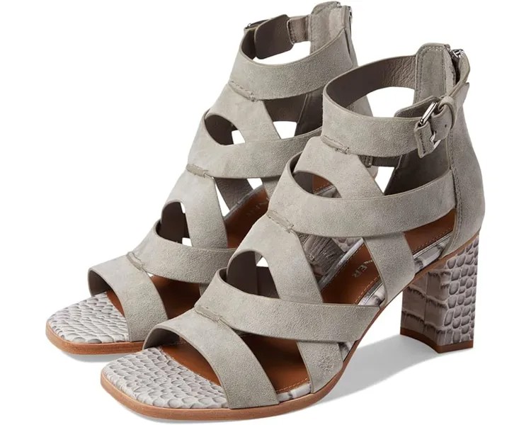 Туфли Donald Pliner Izze, цвет Light Taupe