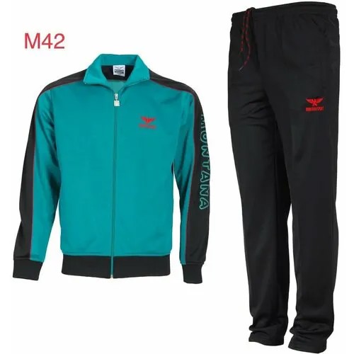 Костюм MONTANASPORT, олимпийка и брюки, силуэт прямой, карманы, размер 54/56, зеленый