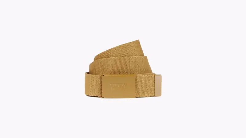 Tonal Web Belt