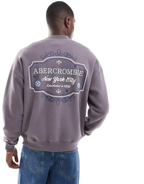 Abercrombie & Fitch – серая толстовка с вышитым логотипом спереди и сзади