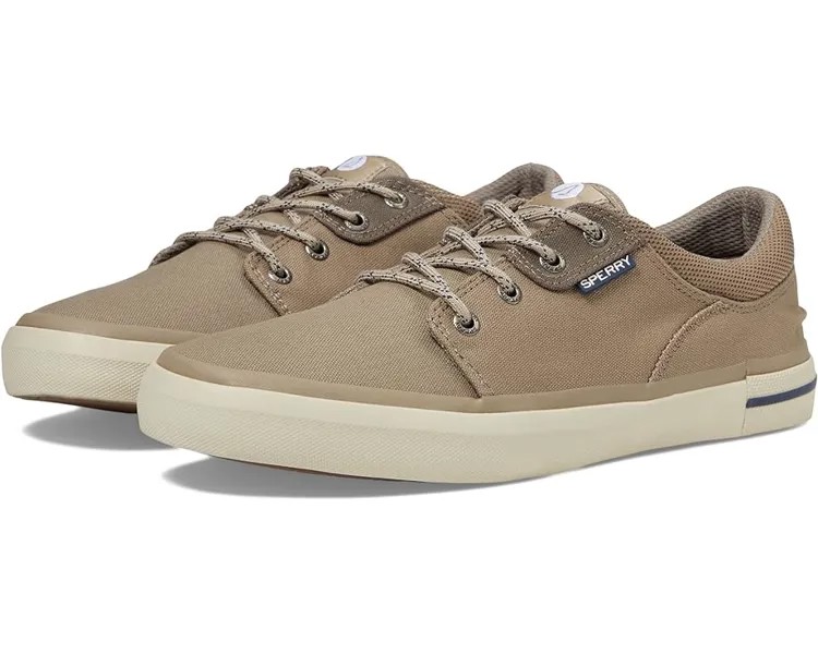 Кроссовки Sperry Crossjack, цвет Taupe