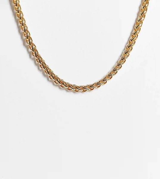 Золотистое ожерелье с перекрученной цепочкой ASOS DESIGN Curve-Золотистый