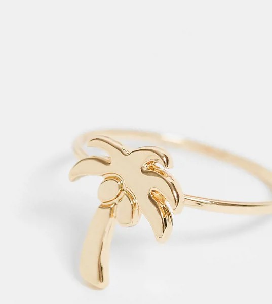 Золотистое кольцо на большой палец с пальмой ASOS DESIGN Curve-Золотой