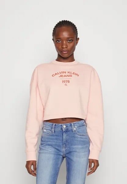 Толстовка VARSITY CREWNECK Calvin Klein Jeans, слабый цветочек