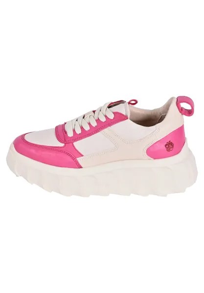 Низкие кроссовки Blair Apple of Eden, цвет hellbeige/pink
