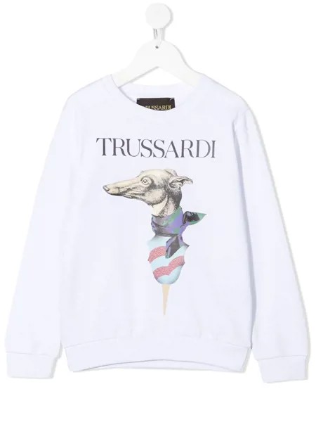 TRUSSARDI JUNIOR толстовка с графичным принтом