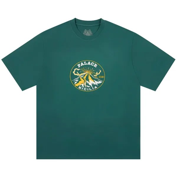 Футболка Palace Active T-Shirt, цвет Racey Green