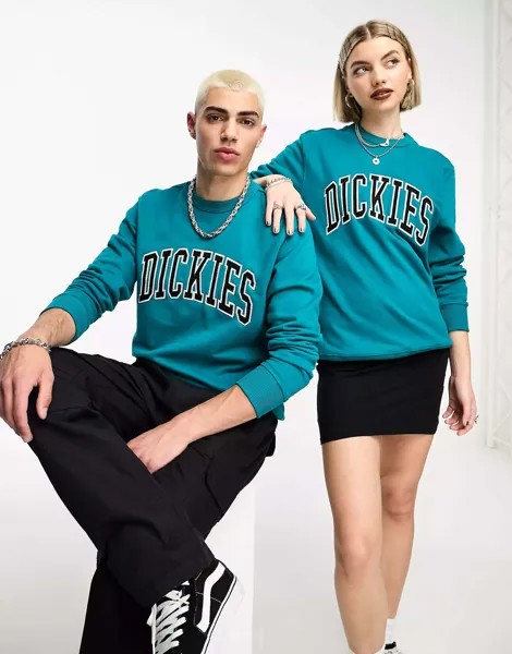 Бирюзовая толстовка с вышитым логотипом Dickies aitkin varsity