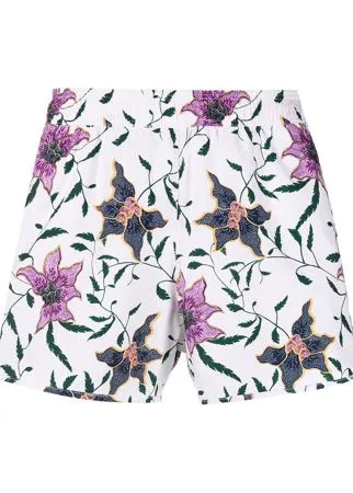 Isabel Marant плавки-шорты с цветочным принтом