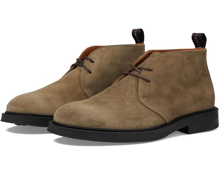 Оксфорды Bruno Magli Taddeo, цвет Taupe Suede