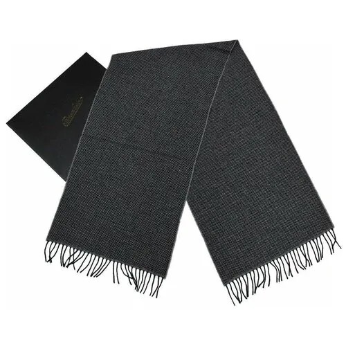 Зимний шарф Borsalino 843855