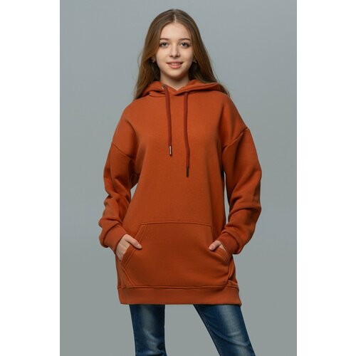 Худи Магазин Толстовок, размер M-48-Unisex-(Женский), , коричневый